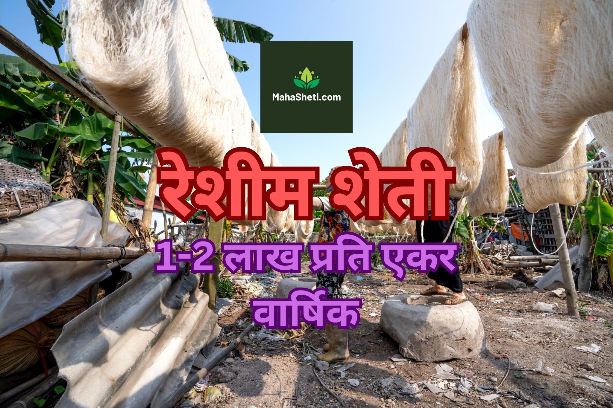 रेशीम शेती कशी करावी? प्रति एकर किती नफा मिळेल?| Silk Farming in Marathi | what is  Sericulture? | Sericulture profit per acre