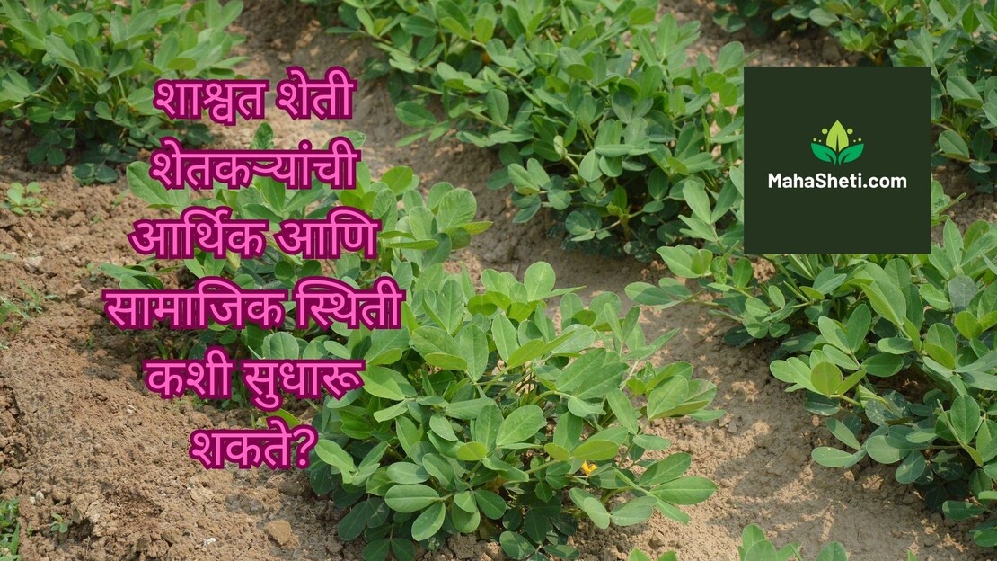 शाश्वत शेती म्हणजे काय? शाश्वत शेतीची तत्वे आणि फायदे | Sustainable farming | Shashwat sheti | Marathi