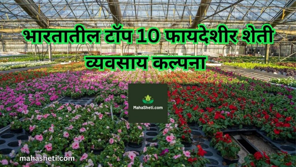 भारतातील टॉप 10 फायदेशीर शेती व्यवसाय कल्पना | Top 10 profitable Agriculture Business Ideas in Marathi | 2023