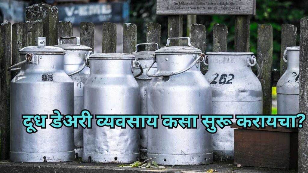 दूध डेअरी व्यवसाय कसा सुरू करायचा? | How to start dairy business? | Marathi