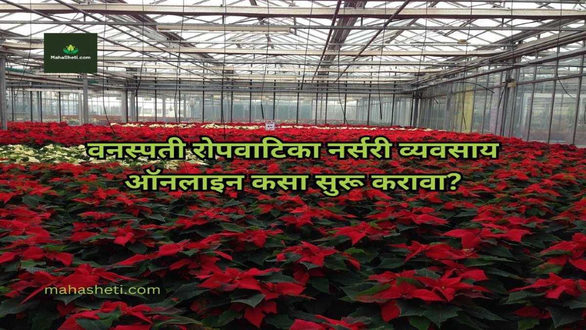 वनस्पती रोपवाटिका नर्सरी व्यवसाय ऑनलाइन कसा सुरू करावा? | How to start plant nursery business online? | Marathi