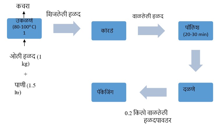 हळद प्रक्रिया चरण